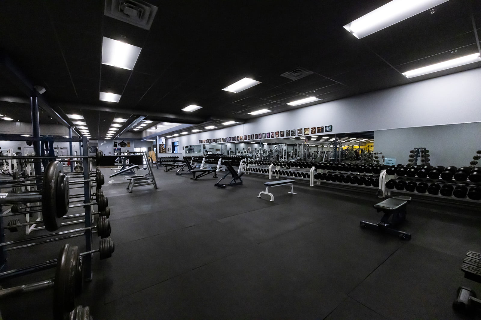 Weights and cardio area