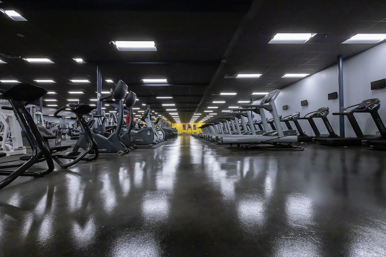 Weights and cardio area