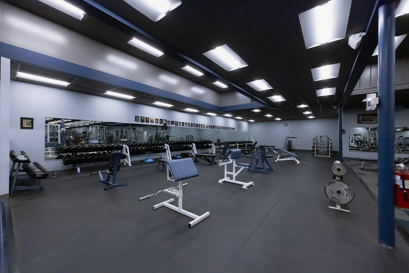 Weights and cardio