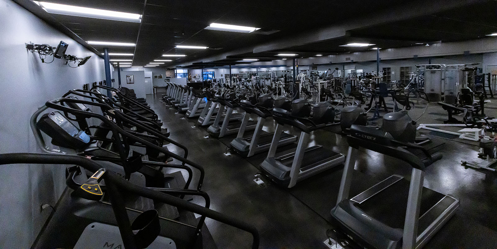 Weights and cardio